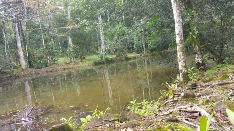 2 bed Single Family Homes For Sale in San Ramon, Alajuela - thumb 2