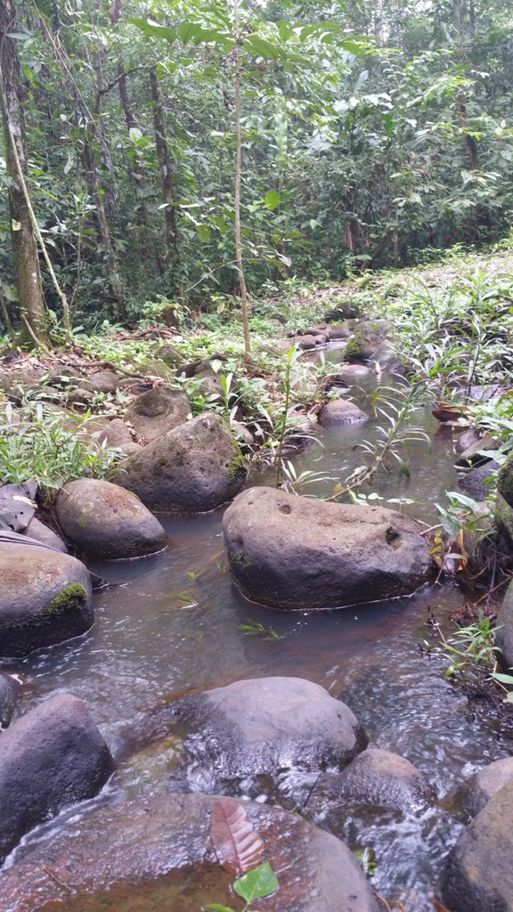 2 bed Single Family Homes For Sale in San Ramon, Alajuela - thumb 3