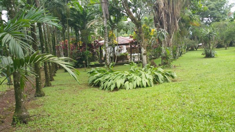 2 bed Single Family Homes For Sale in San Ramon, Alajuela - thumb 8