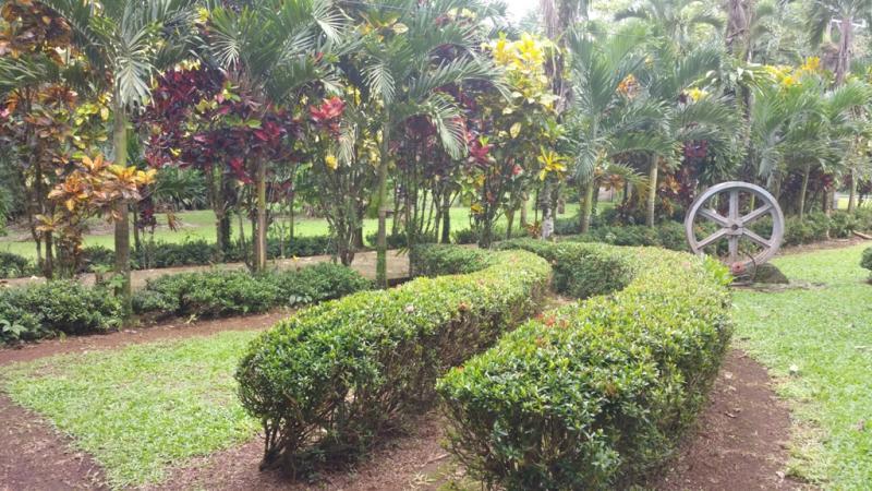 2 bed Single Family Homes For Sale in San Ramon, Alajuela - thumb 7