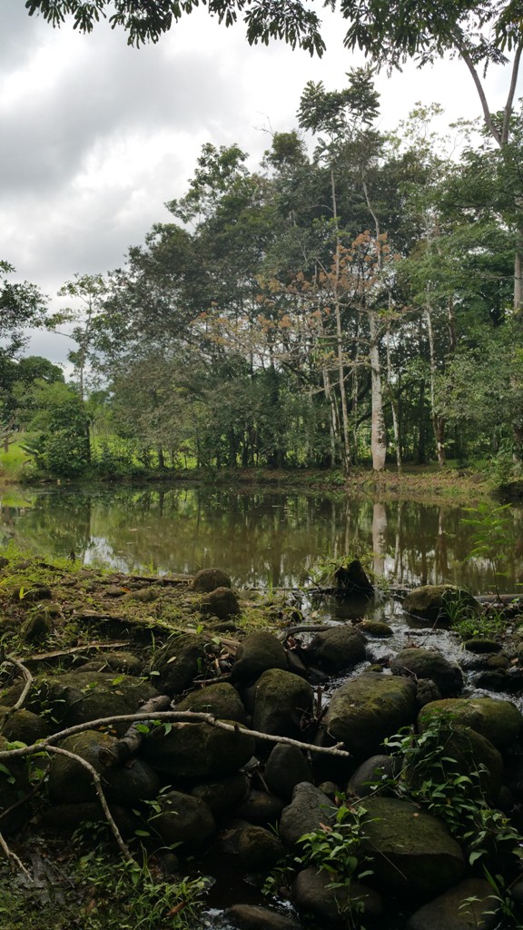 2 bed Single Family Homes For Sale in San Ramon, Alajuela - thumb 4