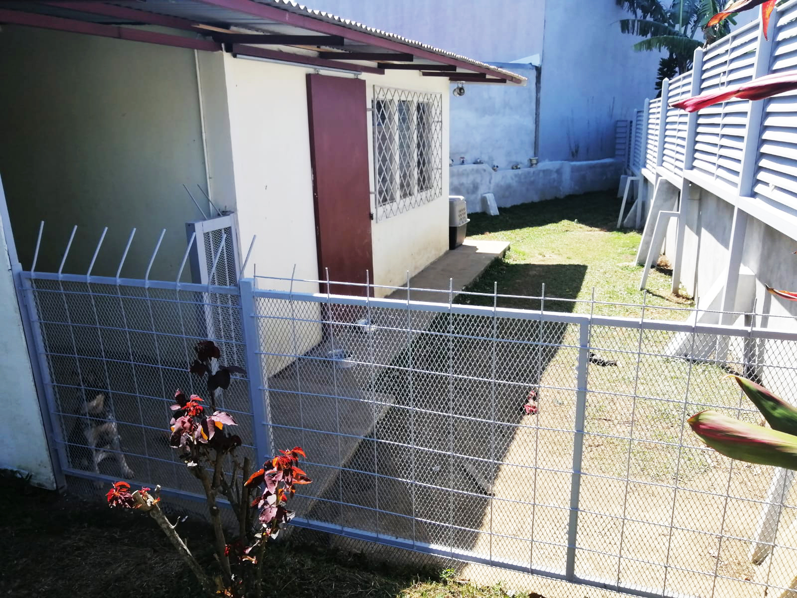 4 bed Single Family Homes For Sale in Montes de Oca, San Jose - thumb 2