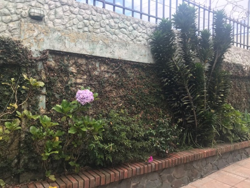 5 bed Single Family Homes For Sale in Occidental, Cartago - 1