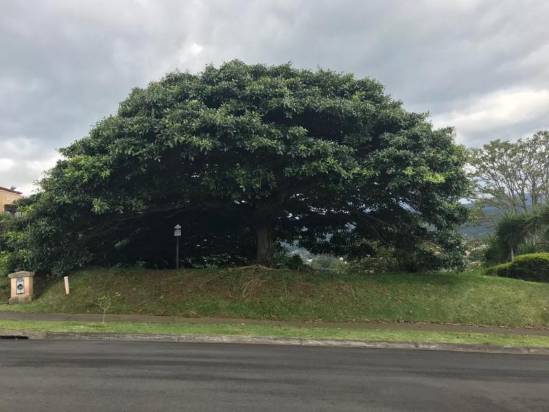 0 bed Land For Sale in Curridabat, San Jose - 1