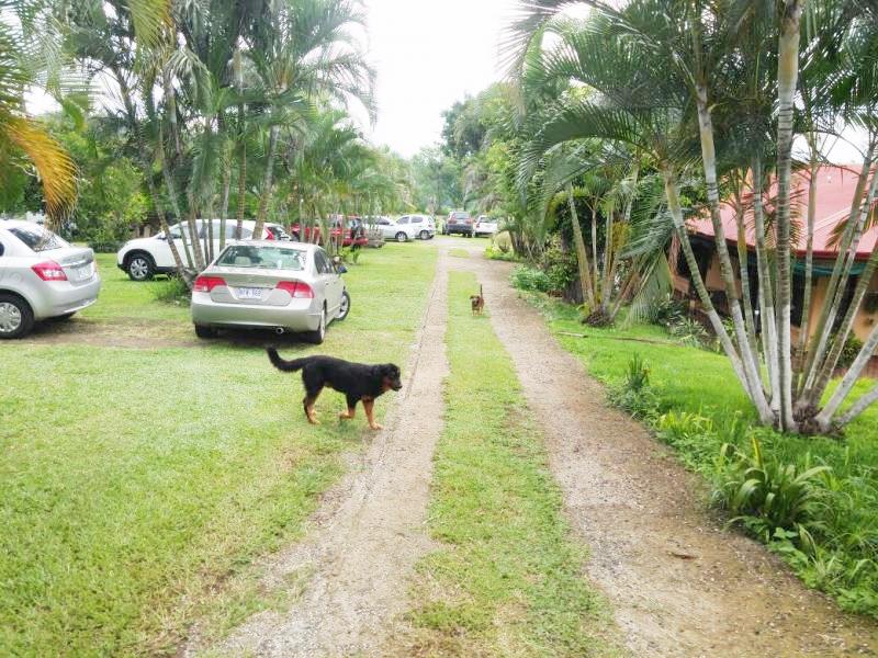 5 bed Single Family Homes For Sale in Alajuela, Alajuela - thumb 11