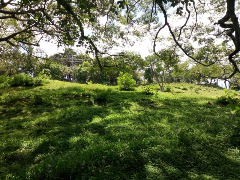 0 bed Land For Sale in Santa Ana, San Jose - thumb 8