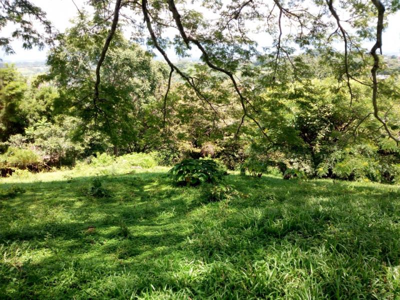 0 bed Land For Sale in Santa Ana, San Jose - thumb 6