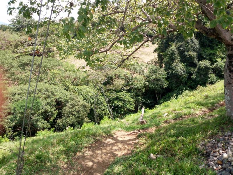 0 bed Land For Sale in Santa Ana, San Jose - thumb 16