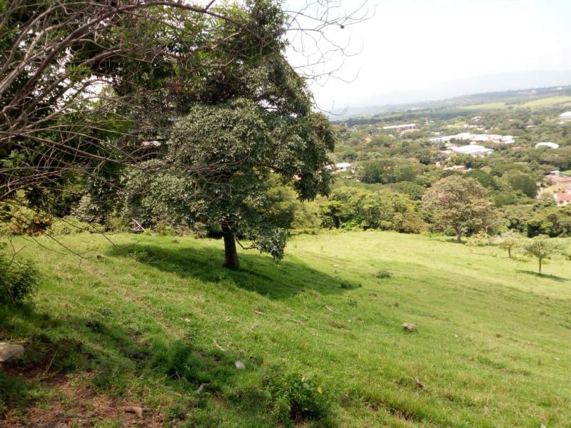 0 bed Land For Sale in Santa Ana, San Jose - thumb 14
