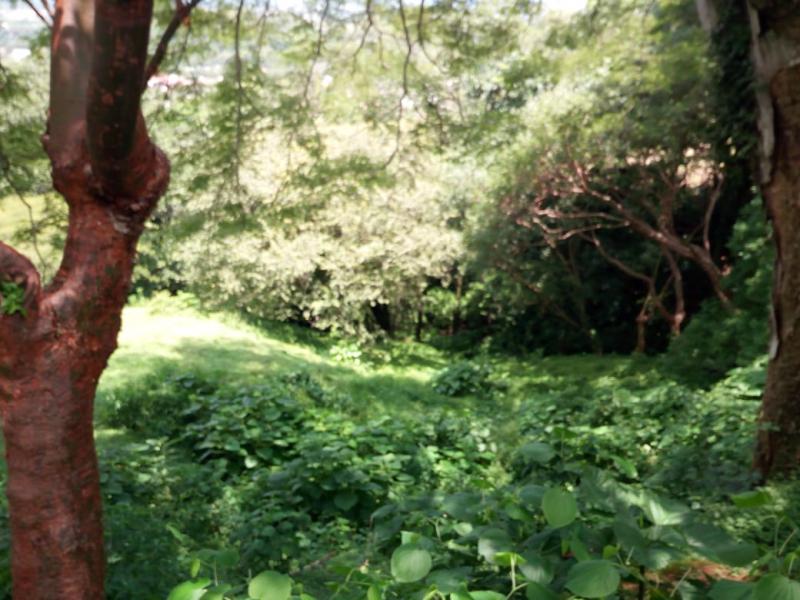 0 bed Land For Sale in Santa Ana, San Jose - thumb 5