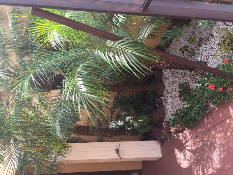 3 bed Single Family Homes For Sale in Escazu, San Jose - thumb 7