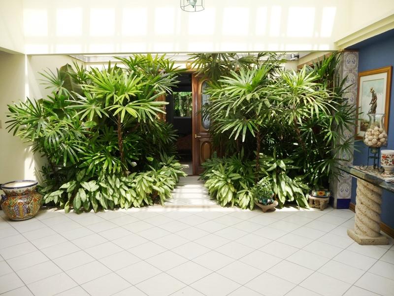 4 bed Single Family Homes For Sale in Ciudad Cariari, Heredia - thumb 11