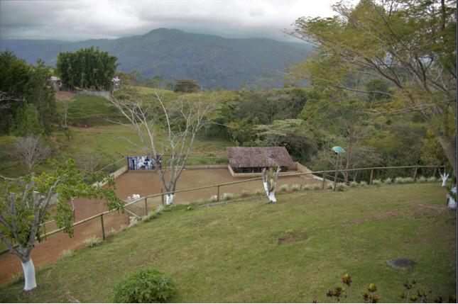 5 bed Single Family Homes For Sale in Orosi, Cartago - thumb 8