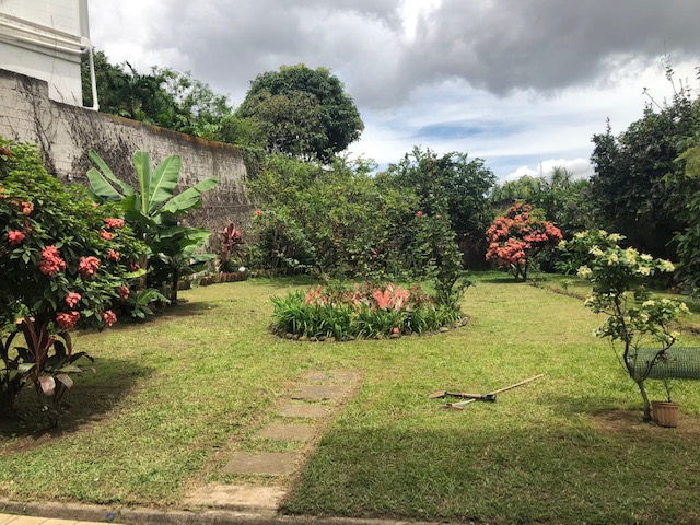 4 bed Single Family Homes For Sale in Los Yoses, San Jose - thumb 5