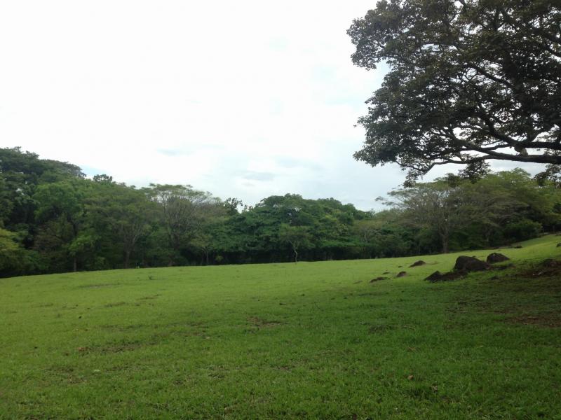 0 bed Land For Sale in La Guacima, Alajuela - thumb 15