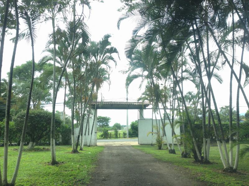 0 bed Land For Sale in La Guacima, Alajuela - thumb 12