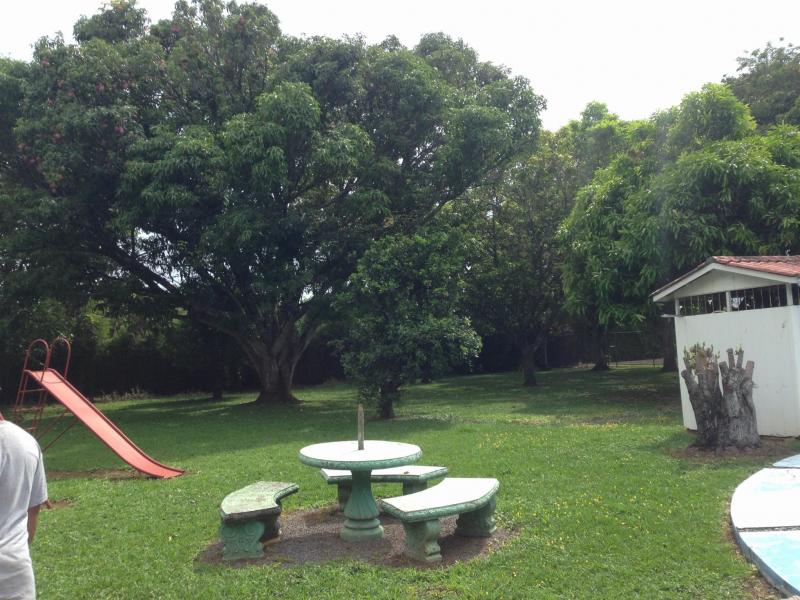 0 bed Land For Sale in La Guacima, Alajuela - thumb 8