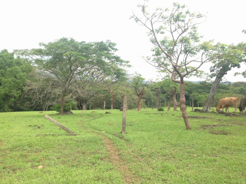 0 bed Land For Sale in La Guacima, Alajuela - thumb 17