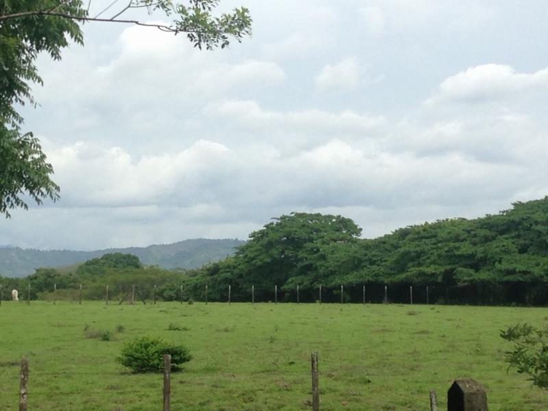 0 bed Land For Sale in La Guacima, Alajuela - thumb 1