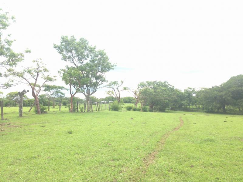 0 bed Land For Sale in La Guacima, Alajuela - thumb 16