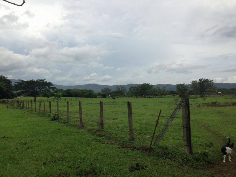 0 bed Land For Sale in La Guacima, Alajuela - thumb 2