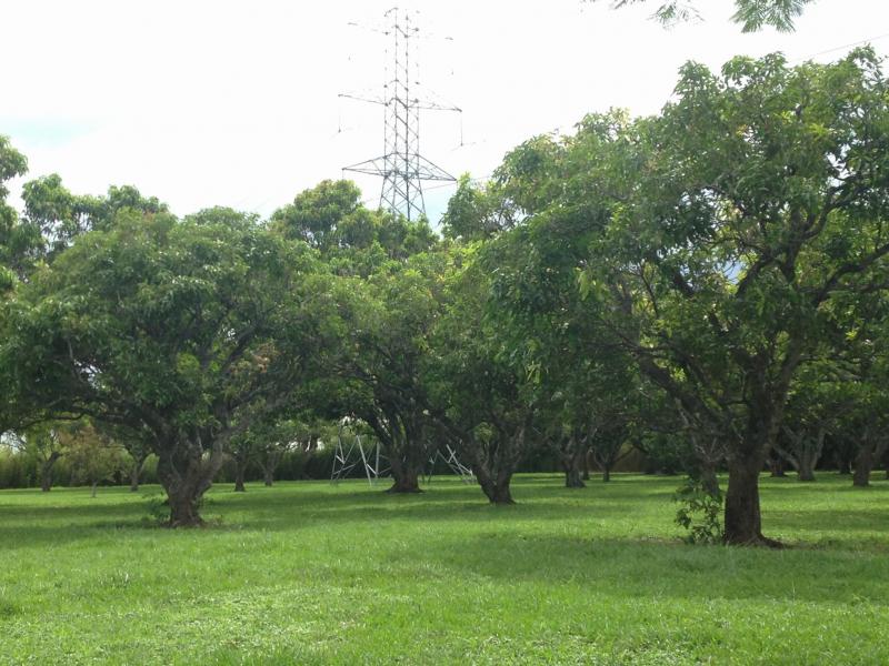 0 bed Land For Sale in La Guacima, Alajuela - thumb 18