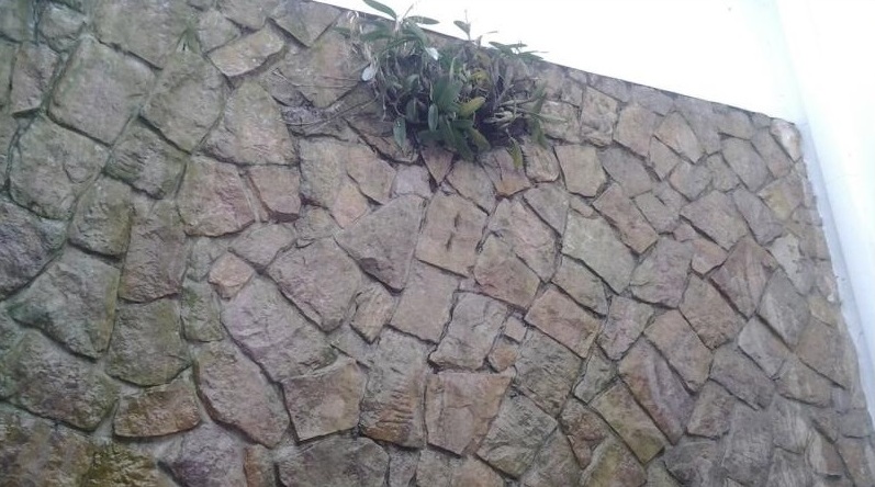 4 bed Single Family Homes For Sale in Tres Rios, San Jose - thumb 13