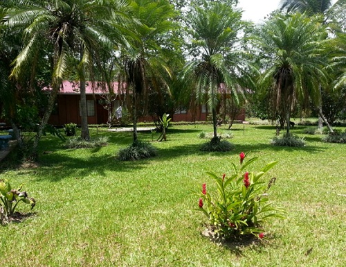 Featured property image
