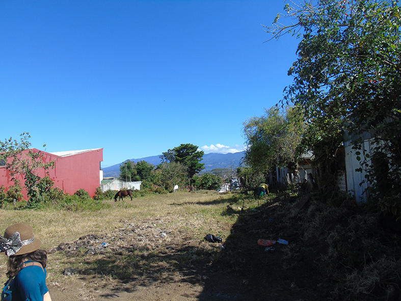 0 bed Land For Sale in Sabanilla, San Jose - thumb 6