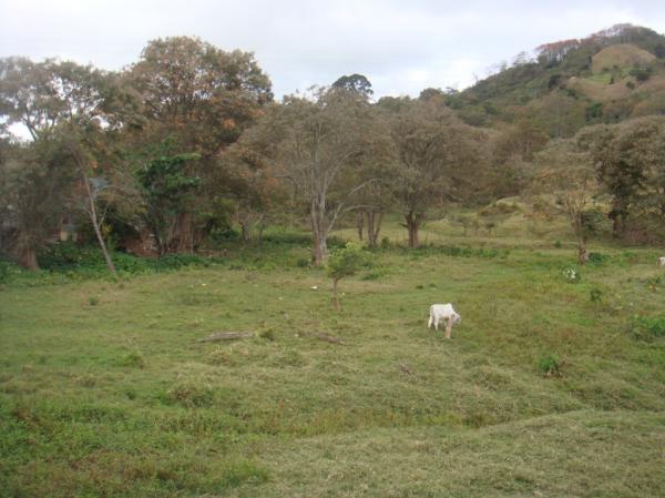 0 bed Land For Sale in Desamparados, San Jose - thumb 5