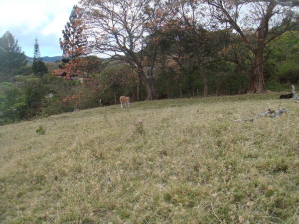 0 bed Land For Sale in Desamparados, San Jose - thumb 1