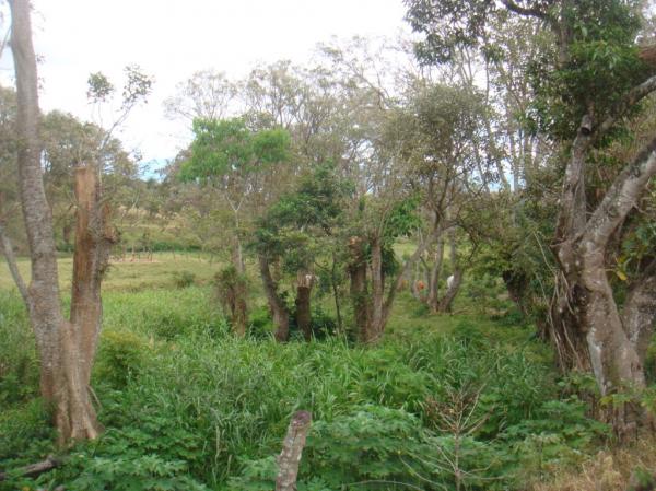 0 bed Land For Sale in Desamparados, San Jose - thumb 16