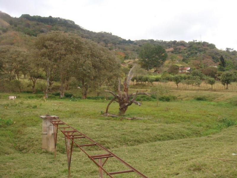 0 bed Land For Sale in Desamparados, San Jose - thumb 12