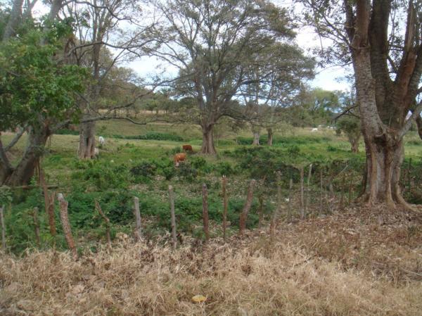 0 bed Land For Sale in Desamparados, San Jose - thumb 18