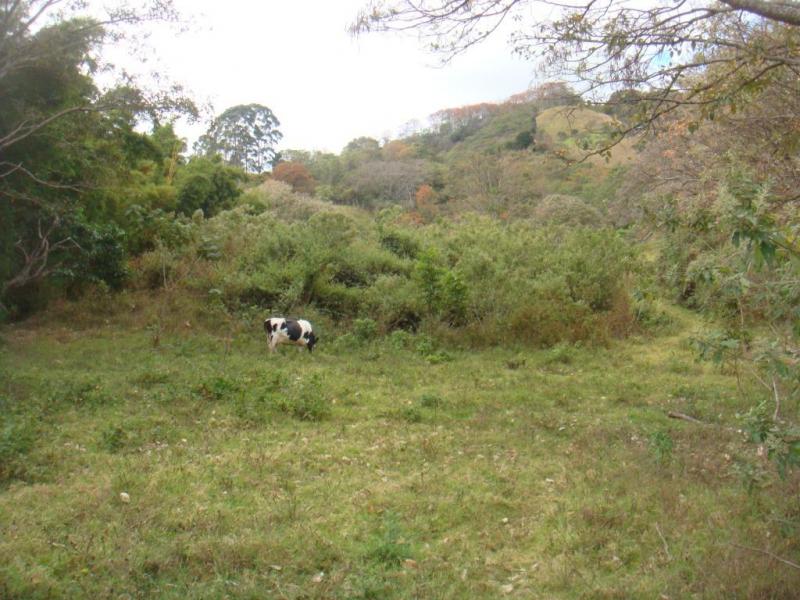 0 bed Land For Sale in Desamparados, San Jose - thumb 4