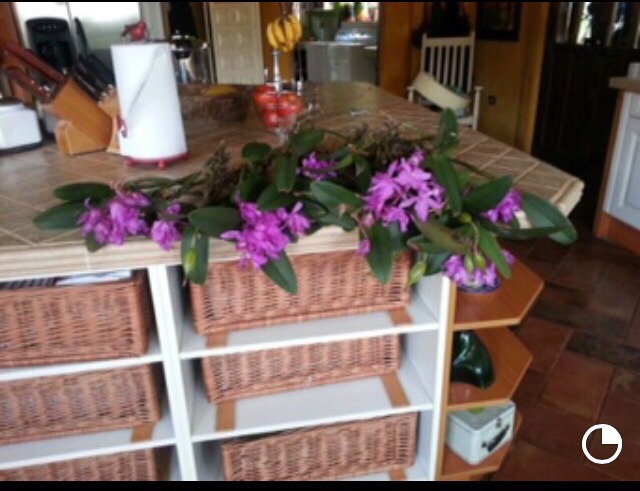 5 bed Single Family Homes For Sale in Heredia, Heredia - thumb 12