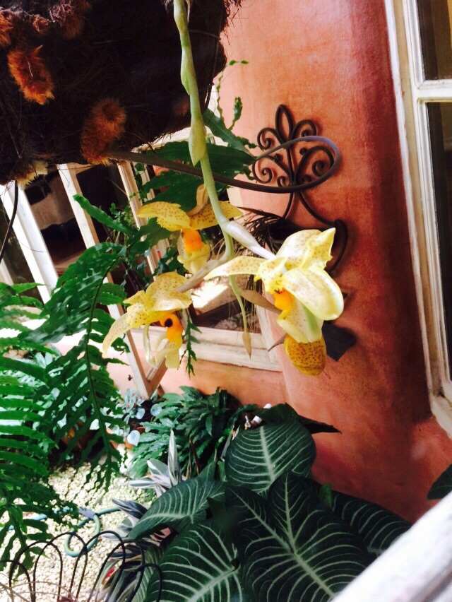 5 bed Single Family Homes For Sale in Heredia, Heredia - thumb 2