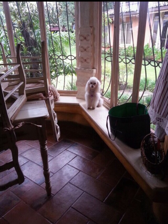 5 bed Single Family Homes For Sale in Heredia, Heredia - thumb 3