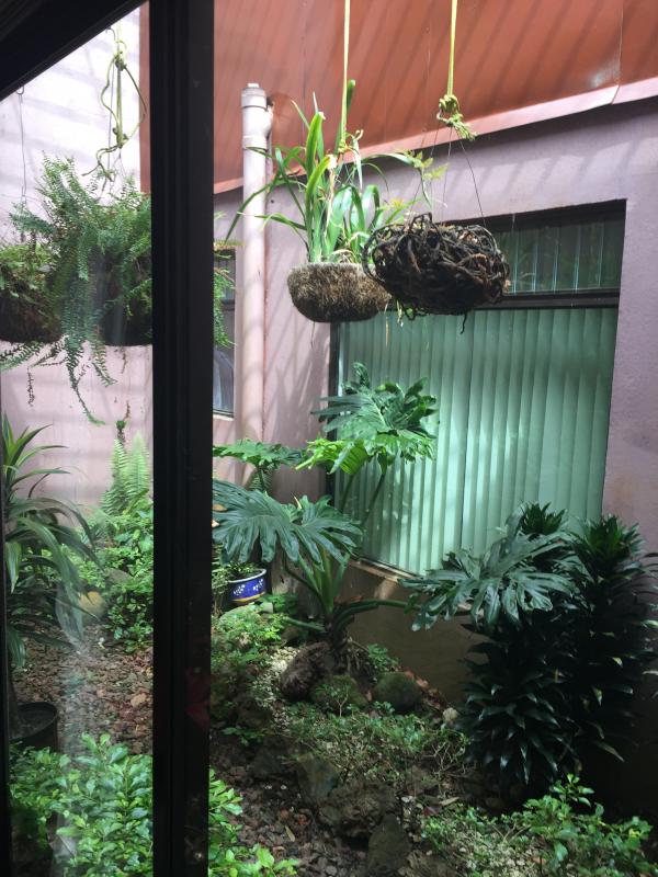 3 bed Single Family Homes For Sale in San Ramón, Cartago - thumb 14