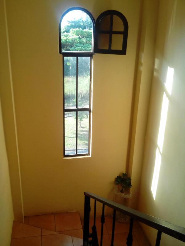 8 bed Commercial For Sale in Montes de Oca, San Jose - thumb 7