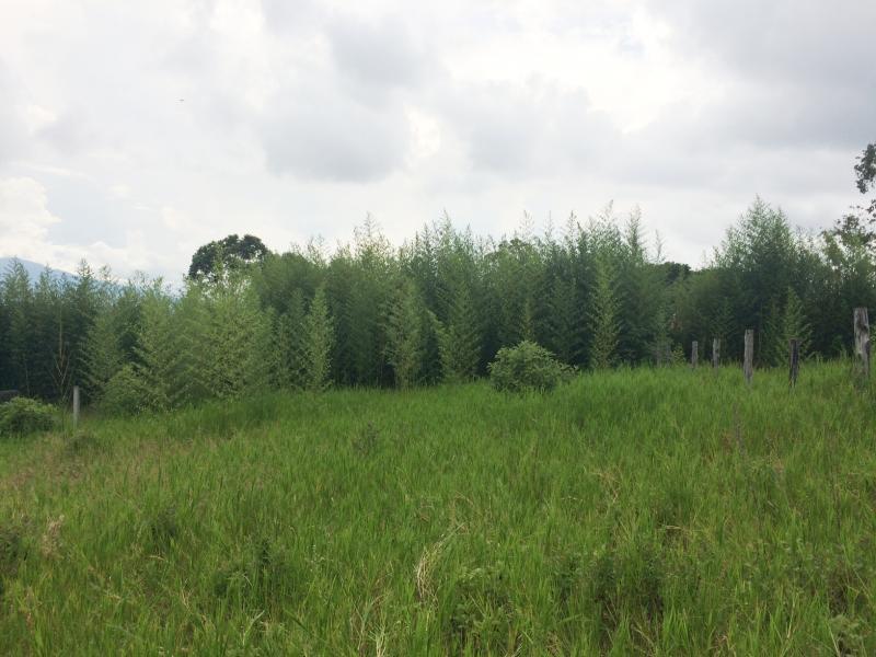 0 bed Land For Sale in San Isidro, Heredia - 1
