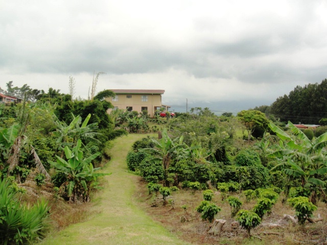 4 bed Single Family Homes For Sale in San Isidro, Heredia - thumb 6