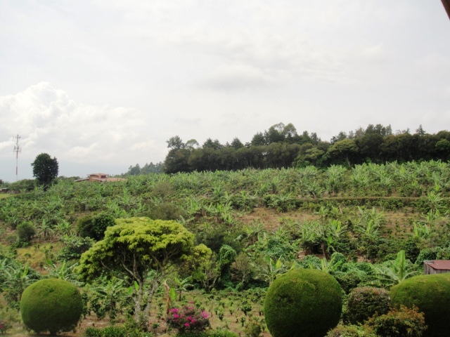 4 bed Single Family Homes For Sale in San Isidro, Heredia - thumb 9