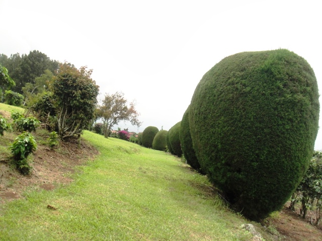 4 bed Single Family Homes For Sale in San Isidro, Heredia - thumb 4