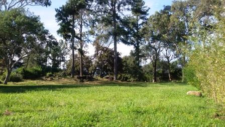 0 bed Land For Sale in La Guacima, Alajuela - thumb 2