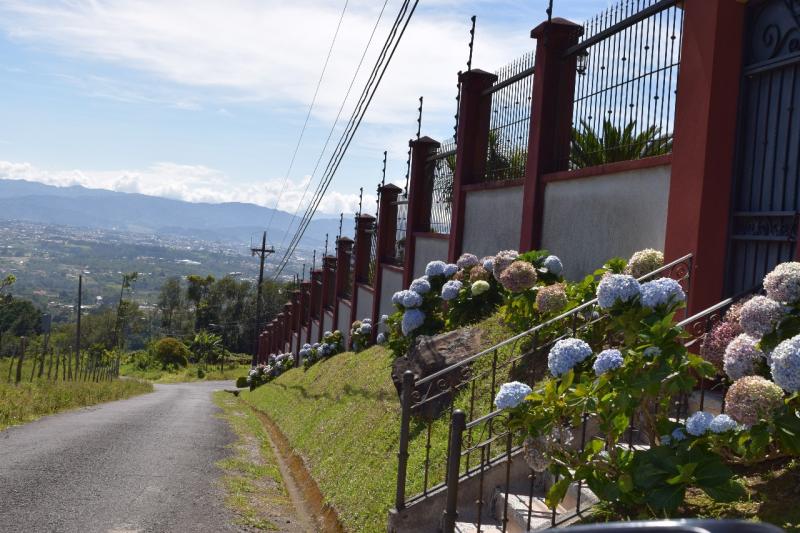 5 bed Single Family Homes For Sale in Heredia, Heredia - thumb 8