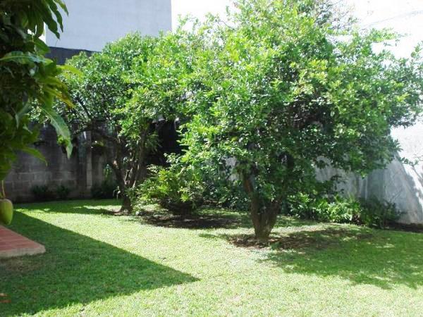 4 bed Single Family Homes For Sale in Rohrmoser, San Jose - thumb 8