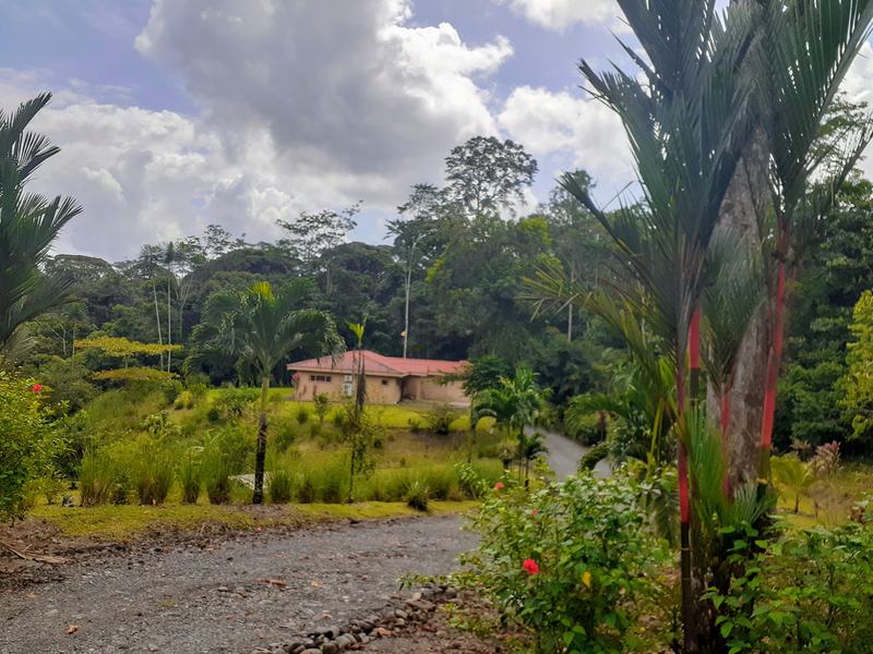 3 bed Single Family Homes For Sale in Siquirres, Limón - 1