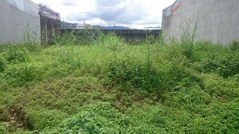 0 bed Land For Sale in Tres Ríos, Cartago - thumb 1