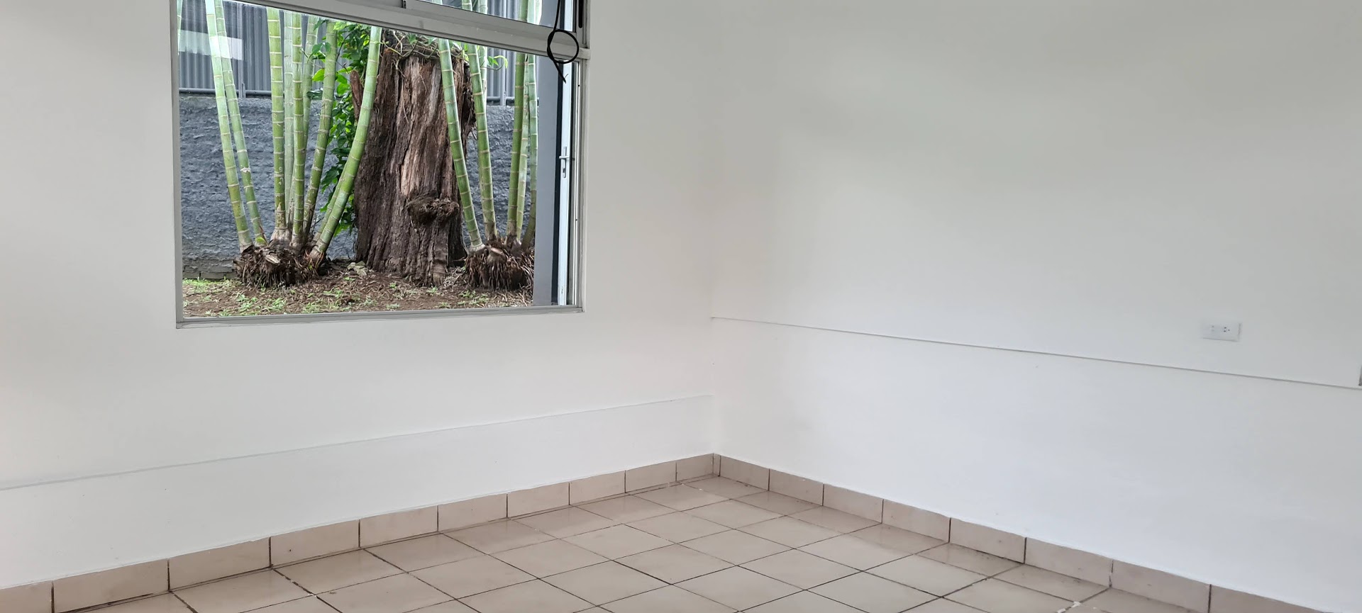 13 bed Commercial For Rent in San Pedro, San Jose - thumb 14